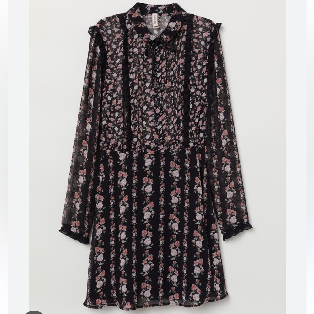 H&M Divided Ruffled Chiffon Floral Long Sleeve Dress